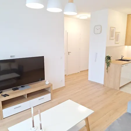 Boho - Garaz Lub Prywatny Parking, Blisko Szpitale, F-ra Vat Apartament *