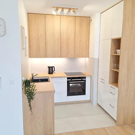 Apartmán Boho - Garaz Lub Prywatny Parking, Blisko Szpitale, F-ra Vat *
